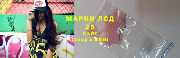 ГАЛЛЮЦИНОГЕННЫЕ ГРИБЫ Аркадак