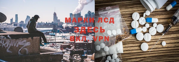 ГАЛЛЮЦИНОГЕННЫЕ ГРИБЫ Аркадак