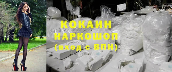 ГАЛЛЮЦИНОГЕННЫЕ ГРИБЫ Аркадак