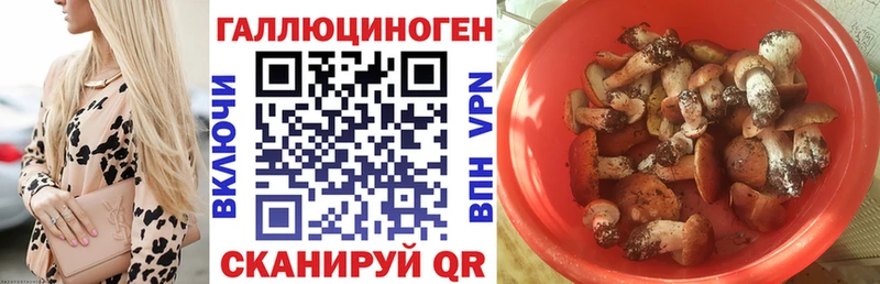 закладка  Ахтубинск  MEGA зеркало  Галлюциногенные грибы мицелий 