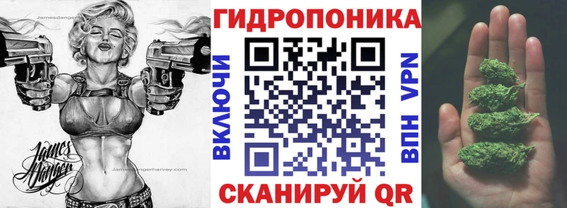 Шишки марихуана марихуана  купить закладку  Ахтубинск 